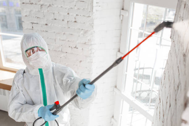 Professional Mold Removal in Keyport, NJ